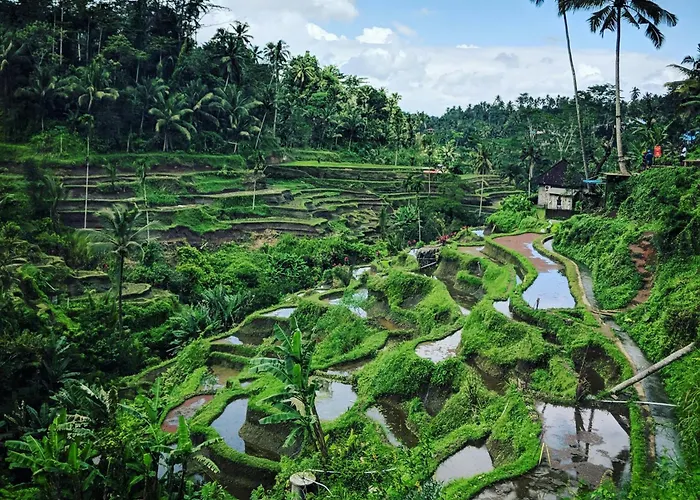Botel Made Sura Bali & Tour *