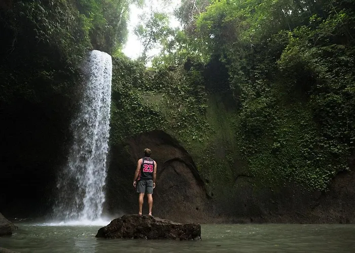 Made Sura Bali & Tour * Ubud